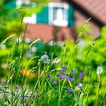 Baytrail In See- Und Bergnähe, Modern, Mit Garten, 4 Gäste Spiez