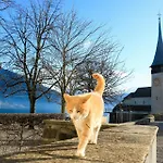 Baytrail In See- Und Bergnähe, Modern, Mit Garten, 4 Gäste Spiez