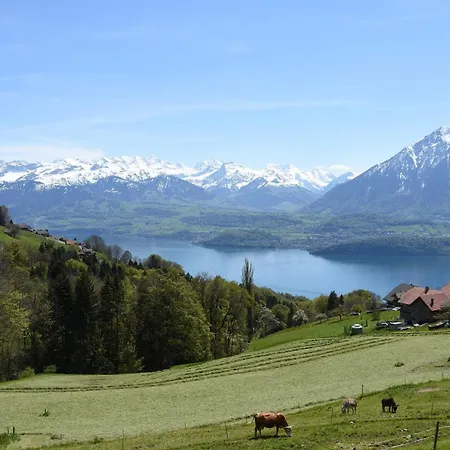 Baytrail In See- Und Bergnähe, Modern, Mit Garten, 4 Gäste * Spiez