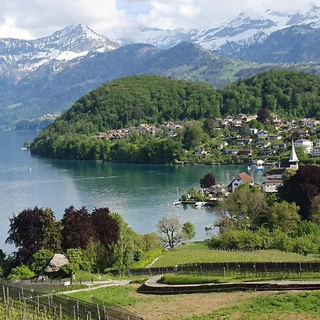 Appartement Baytrail In See- Und Bergnaehe, Modern, Mit Garten, 4 Gaeste Spiez