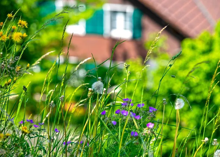 Baytrail In See- Und Bergnaehe, Modern, Mit Garten, 4 Gaeste Spiez