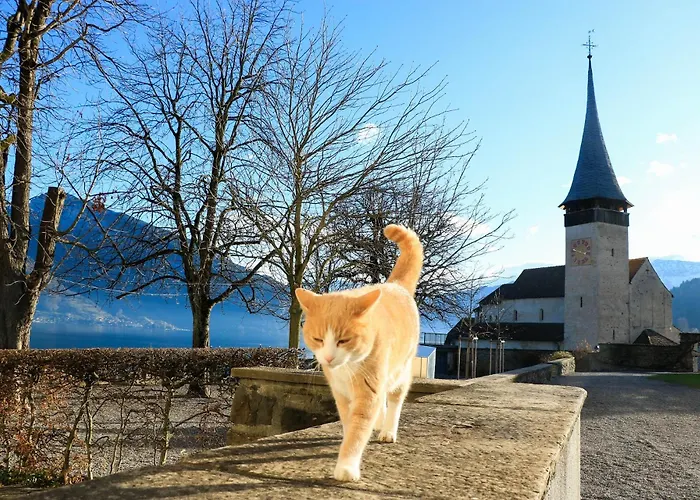 Baytrail In See- Und Bergnaehe, Modern, Mit Garten, 4 Gaeste Spiez