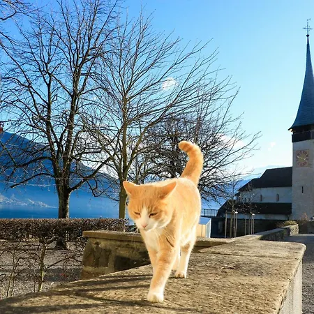 Baytrail In See- Und Bergnaehe, Modern, Mit Garten, 4 Gaeste Spiez