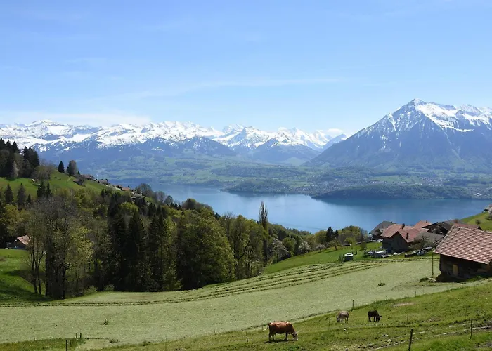 Baytrail In See- Und Bergnaehe, Modern, Mit Garten, 4 Gaeste * Spiez